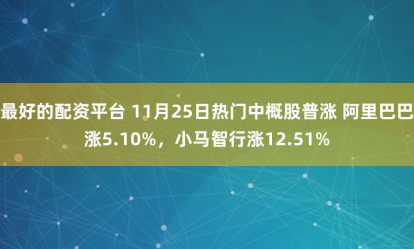最好的配资平台 11月25日热门中概股普涨 阿里巴巴涨5.10%，小马智行涨12.51%